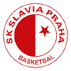 https://img.rqjiugu.com/img/basketball/team/477c0e77a7fa837b5d0f90422b9b592c.png