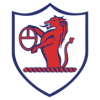 https://img.rqjiugu.com/img/football/team/11fb72f7b5eacfc881ee11bac75871fa.png