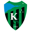 https://img.rqjiugu.com/img/football/team/8dfbbd630a401d819054748332f33849.png