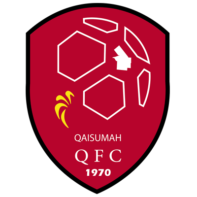 https://img.rqjiugu.com/img/football/team/b155714d7a8b3230696693bba8181b6d.png